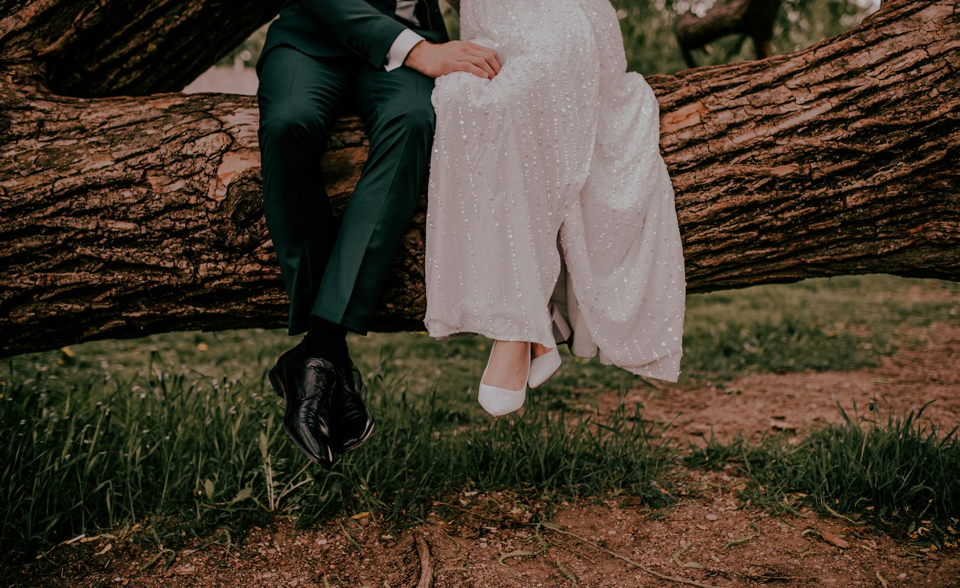 newlywed couple sitting on tree branch